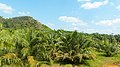 Krabi, 2014 (february) - panoramio (54).jpg