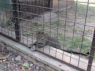 <span class="mw-page-title-main">Living Museum of Bujumbura</span> Zoo and museum in Bujumbura, Burundi