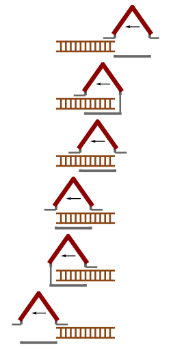 Figure 5: Scenario in the ladder frame: a length contracted garage passing over the ladder. Only one door is closed at any time Ladder Paradox LadderScenario.svg