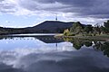 from Scrivener Dam