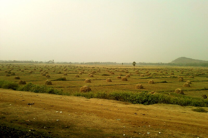 File:Landscape view at Vizianagaram town.jpg