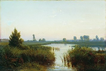 Paysage de marais.