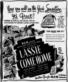 Theatrical advertisement from 1943 Lassie Come Home - Theatre ad - 16 December, 1943.png