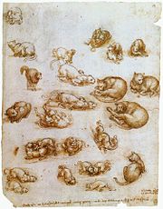 Étude du mouvement des chats est une feuille (27 x 21 cm) comportant une vingtaine de dessins exécutés à la plume et à l'encre par Léonard de Vinci et représentant des chats ainsi qu'un dragon.