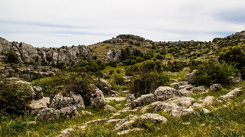 File:Limestone Rocks at El Torcal de Antequera 1.jpg