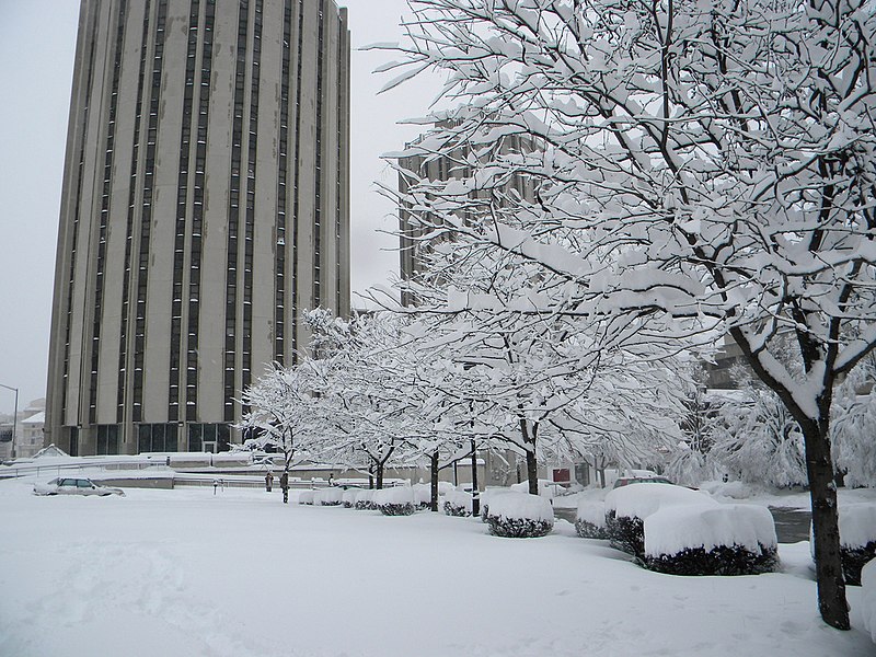 File:LitchfieldTowersSnowFall.jpg