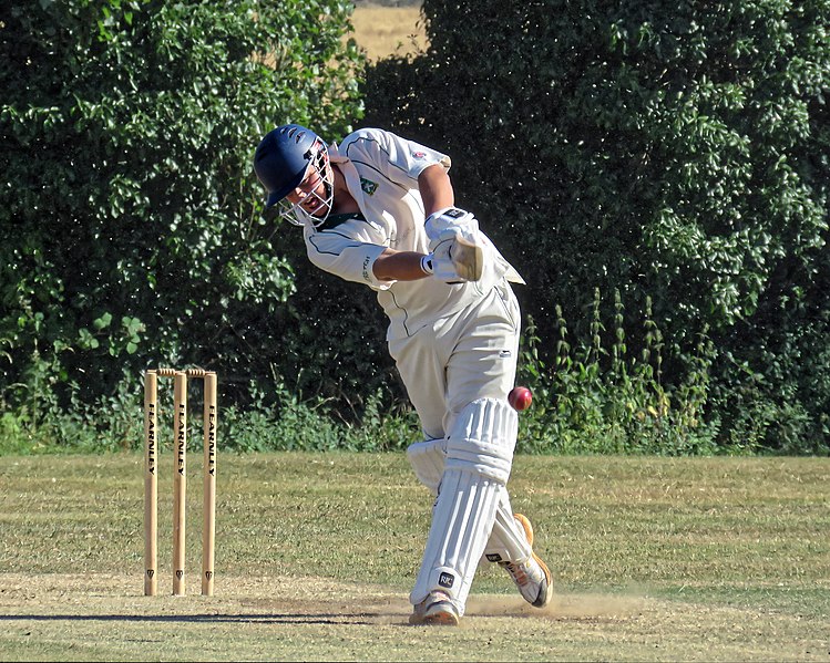 File:Little Hallingbury CC v. Thorley CC at Gaston Green, Essex 082.jpg