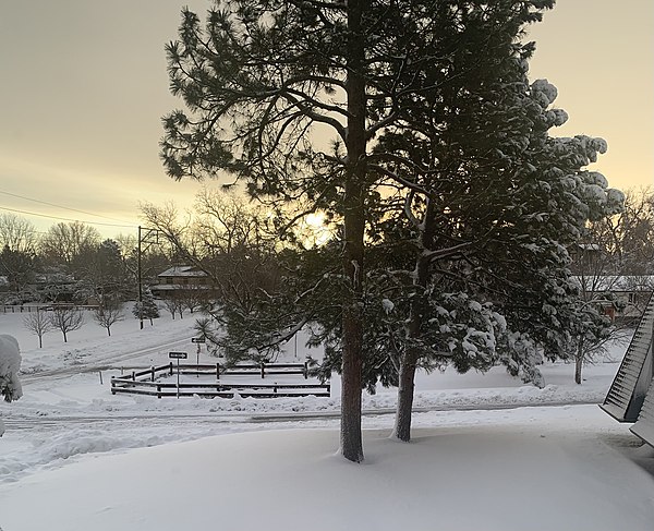 Snow in Littleton, Colorado, during March 2021