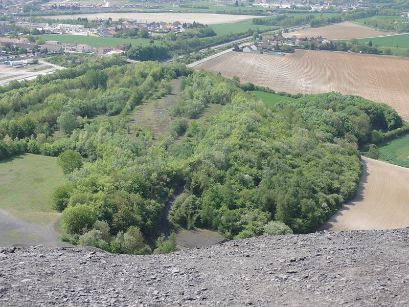 File:Loos-en-Gohelle - Terrils n° 74, 74A et 74B, 11 - 19 de Lens Est, Ouest et Nouveau (038).JPG