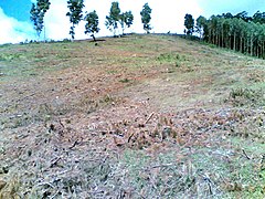 La déforestation, lorsqu'elle concerne de vastes surfaces, des sols fragiles ou des sites écologiquement vulnérables, est un facteur majeur de perturbation écologique anthropique.