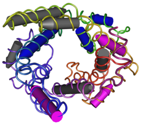 Mitochondrial Uncoupling Protein 2 MMDB ID 92271 PDB ID 2LCK Mitochondrial Uncoupling Protein 2.png