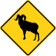 Ram crossing