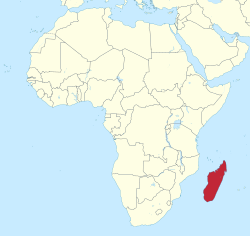 Madagaskar na karce