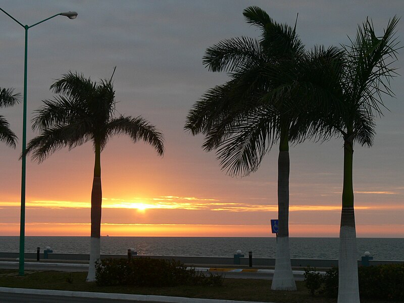 MalecÃ³n