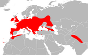 Area di distribuzione Noctule di Leisler