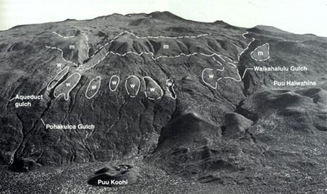 Glacial evidence on Mauna Kea, outlining terminal moraines ("m") and till ("w")