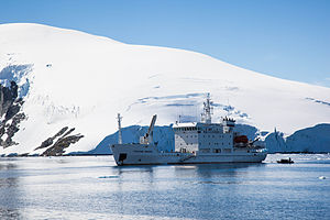 Die russische MS Grigori Michejow im Mikkelsen Harbor (Januar 2009)