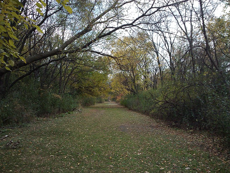 File:Monkey Trails 2, Elmhurst, IL - panoramio.jpg