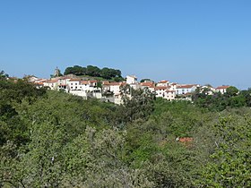 Monteskiusz-des-Albères