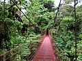 Español: Puente colgante de Monteverde English: Monteverde suspension bridge