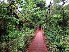 Bosque nuboso y puentes colgantes de Monteverde.