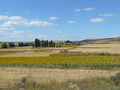 Español: Vista de Neguillas, Soria.