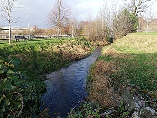 <span class="mw-page-title-main">Morell River</span> River in County Kildare, Ireland