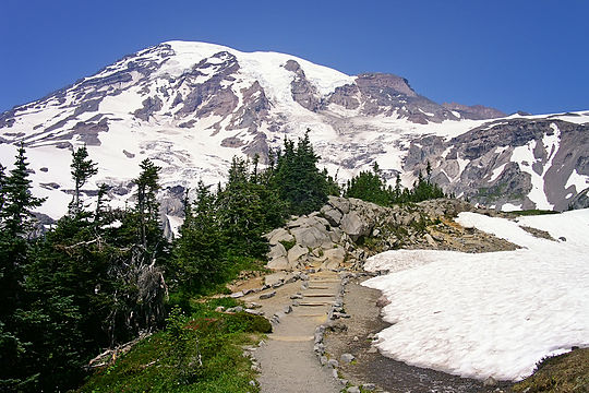 Mount Rainier from Paradise area (2010)