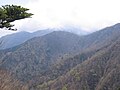 天王寺尾根より望む三角沢ノ頭