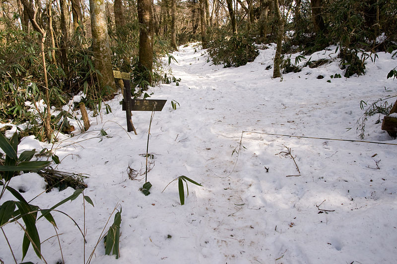 File:Mt.Sengen (Hakone) 05.jpg