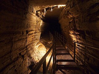 Forestville Mystery Cave State Park State park in Minnesota, United States