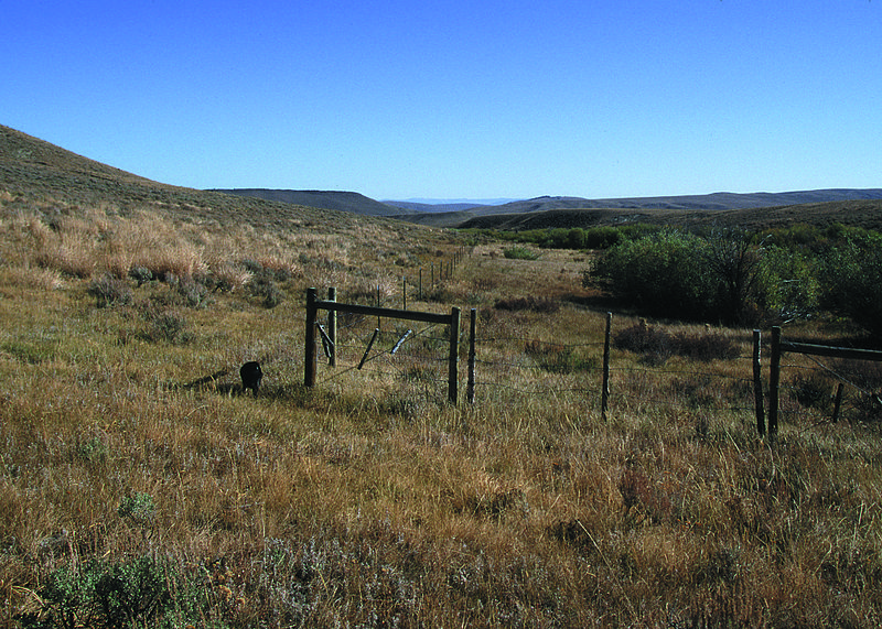 File:NRCSMT01032 - Montana (4913)(NRCS Photo Gallery).jpg