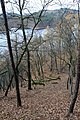 Čeština: Národní přírodní rezervace Drbákov - Albertovy skály v okrese Příbram, Česko English: National nature reserve Drbákov - Albertovy skály in Příbram District, Czech Republic Camera location 49° 43′ 39.89″ N, 14° 22′ 05.83″ E    View all coordinates using: OpenStreetMap