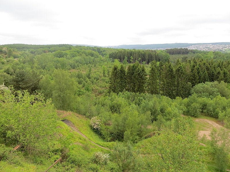 File:Nature reclaiming colliery spoil tip - Lightmoor - May 2012 - panoramio.jpg