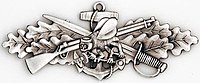 Seabee combat warfare specialist insignia