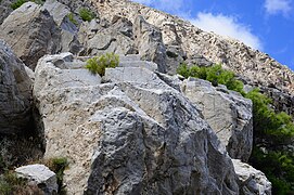 Necropolis of Ancient Thera, part around footpath to Kamari, Santorini, 226641.jpg