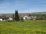 Nesselnbach