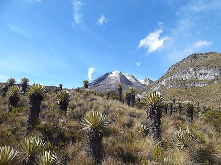 Mountain climate is one of the unique features of the Andes and other high altitude reliefs