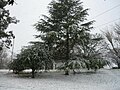 Miniatura para Nevadas en Argentina del 22 de julio de 2009