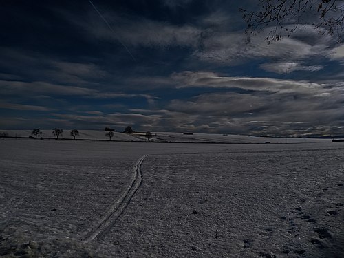 Noche nevada