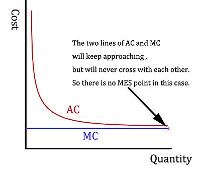 A graph to show the situation of no Minimum Efficient Scale (MES) point in a market that the marginal cost is low and constant.