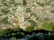 שרידי מערה במצוק הצפוני ממול למערת ספונים