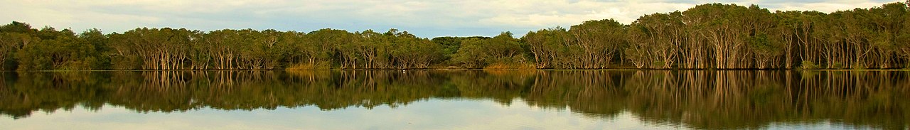 Northern Rivers Banner.jpg