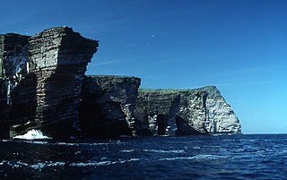 Holm of Noss