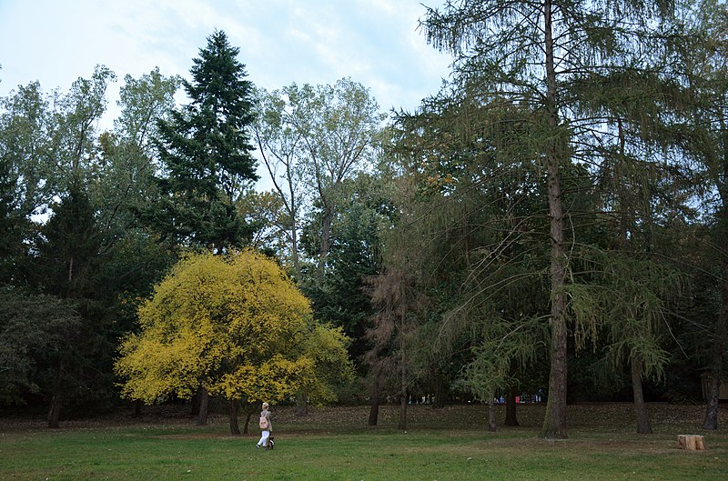 File:Nowa Praga, Warszawa, Poland - panoramio - Roman Eugeniusz (2).jpg