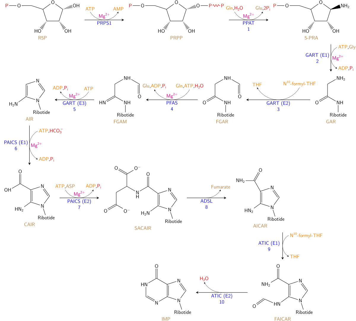 The synthesis of IMP. The color scheme is as follows: enzymes, coenzymes, substrate names, metal ions, inorganic molecules