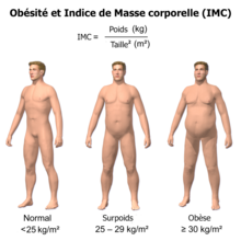 Obésité et IMC.png