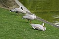 Parc Montsouris, Paris, France