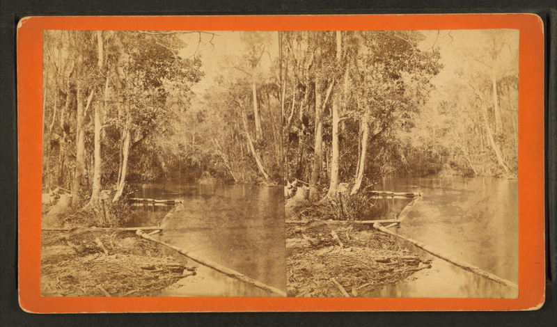 File:Oklawaha River, Florida. Palmetto Landing, looking down, from Robert N. Dennis collection of stereoscopic views.png