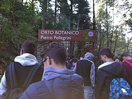 Orto Botanico Pellegrini-Ansaldi.jpg